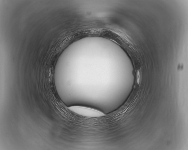 X0000089661395200706210720