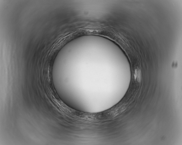 X0000089661396200706210720
