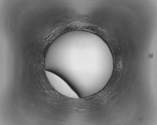 X0000089661397200706210720