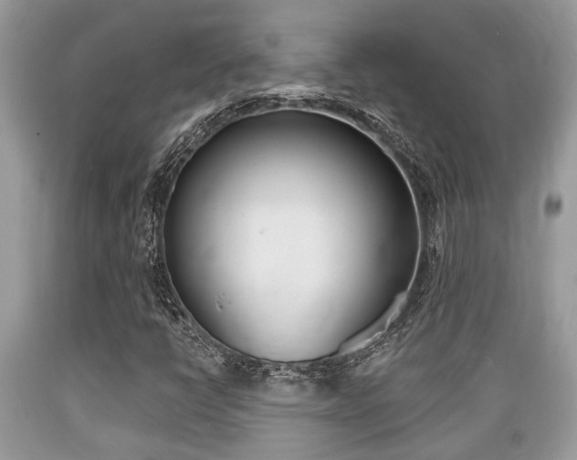 X0000089661398200706210720