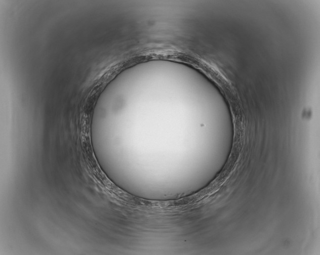X0000089661399200706210720
