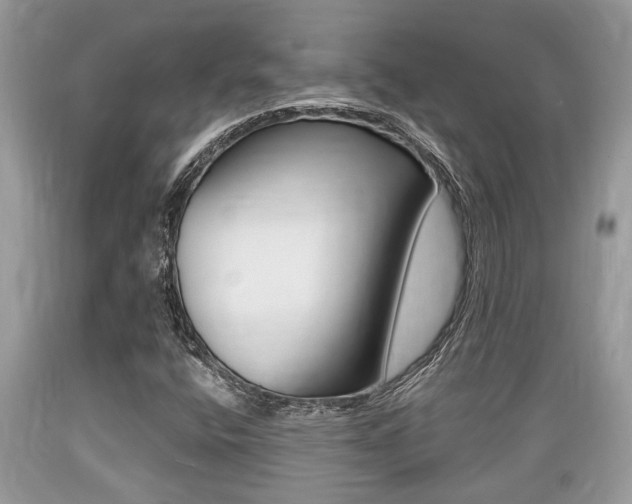 X0000089661400200706210720