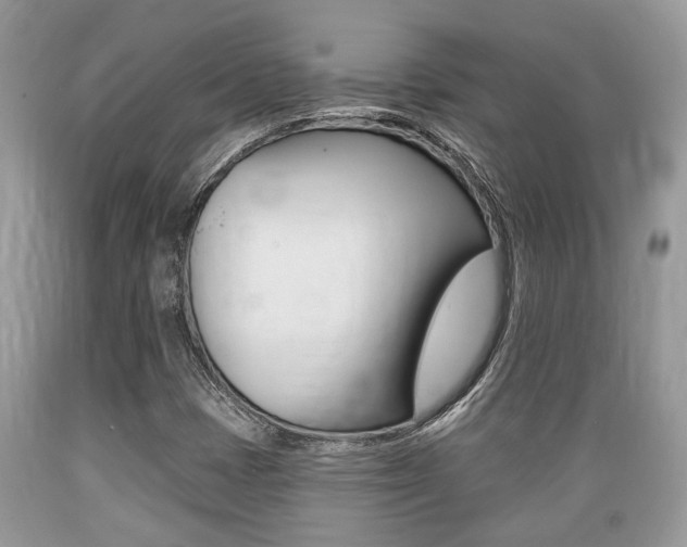 X0000089661401200706210720
