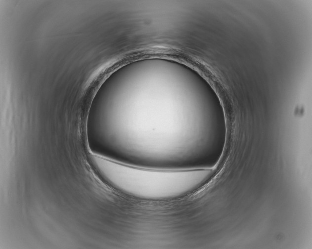 X0000089661402200706210720