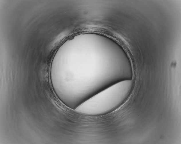 X0000089661403200706210720