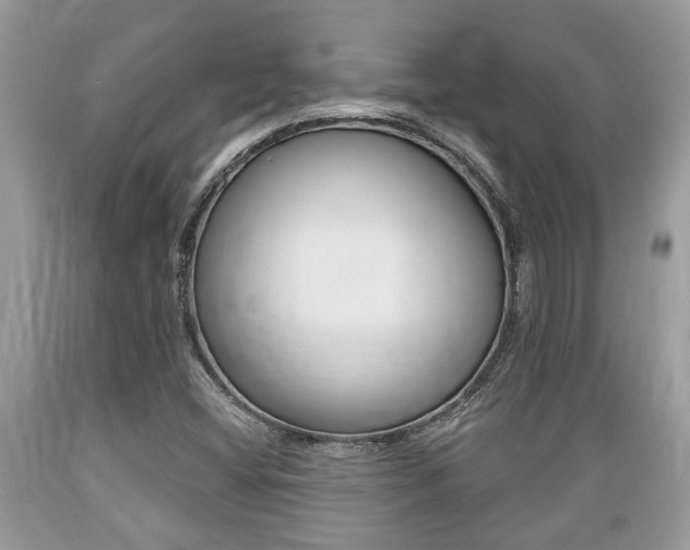 X0000089661404200706210720