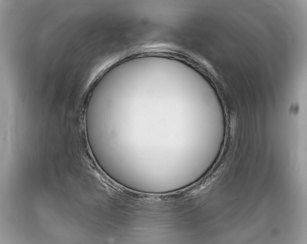 X0000089661405200706210720
