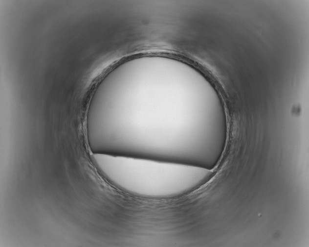 X0000089661407200706210720