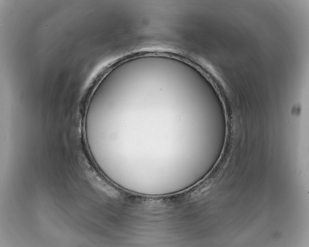 X0000089661408200706210720