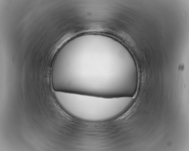 X0000089661409200706210720