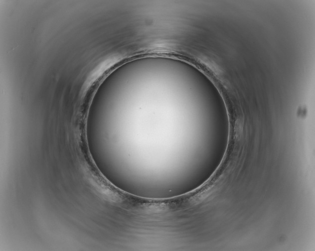 X0000089661410200706210720