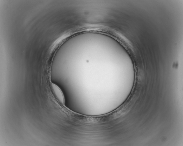 X0000089661411200706210720