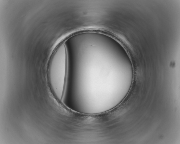 X0000089661412200706210720