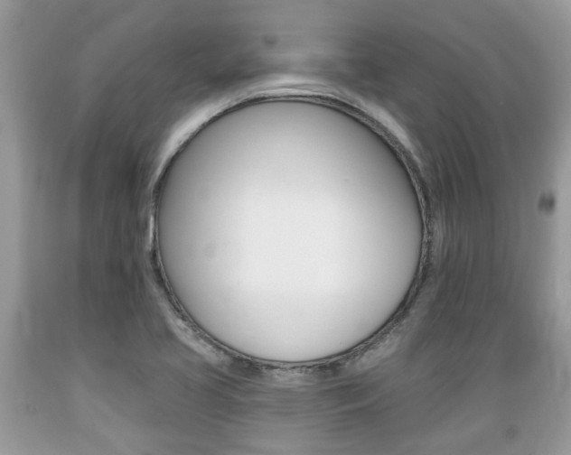 X0000089661413200706210720