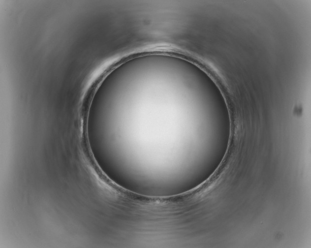 X0000089661414200706210720