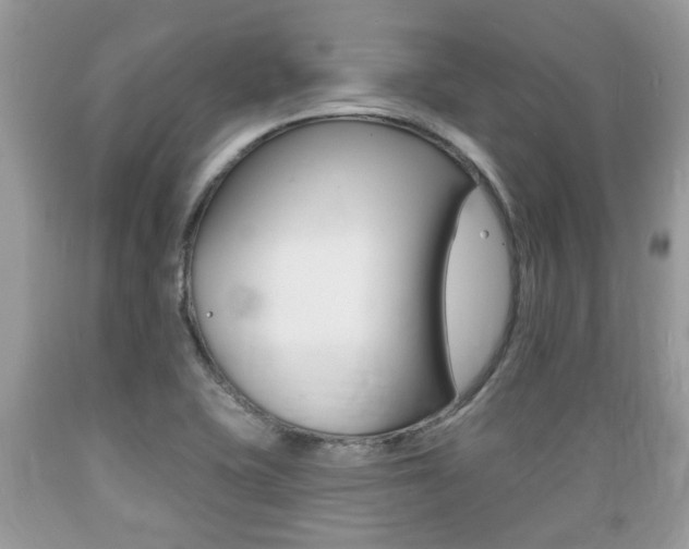 X0000089661415200706210720