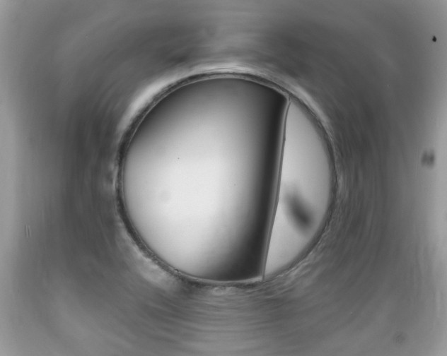 X0000089661416200706210720