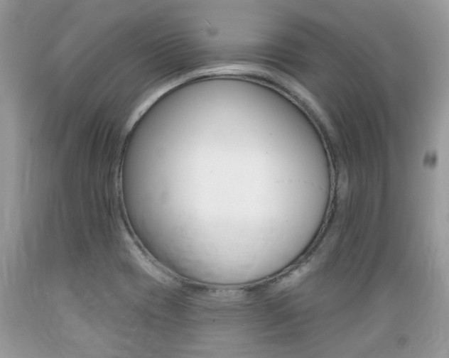 X0000089661417200706210720