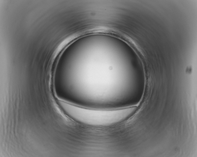X0000089661418200706210720