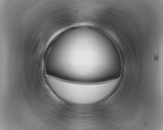 X0000089661420200706210720