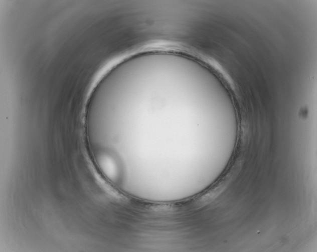X0000089661421200706210720
