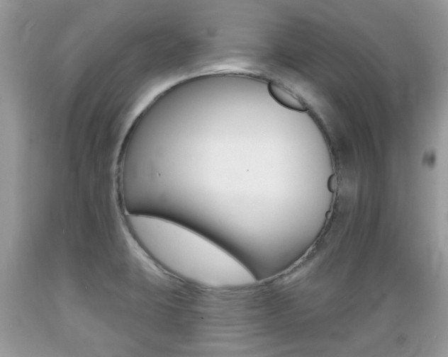 X0000089661423200706210720
