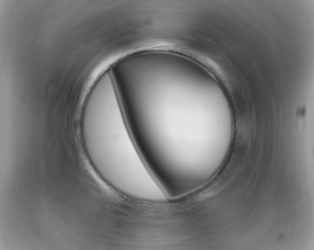 X0000089661424200706210720