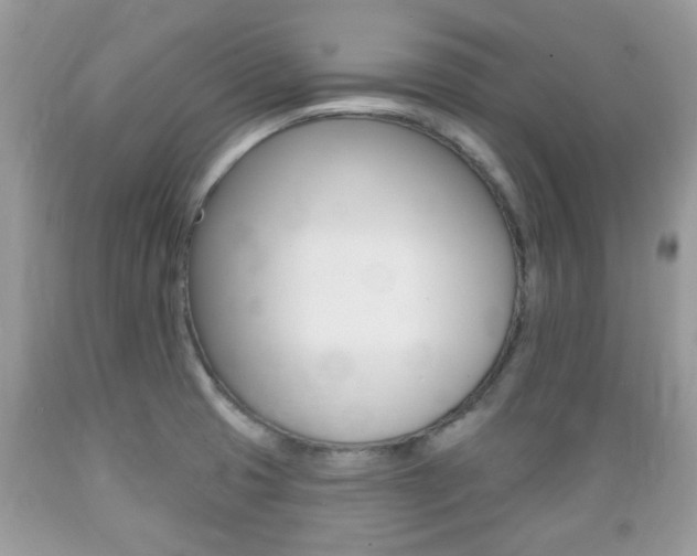 X0000089661425200706210720