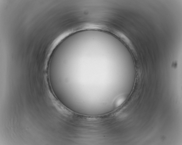 X0000089661427200706210720