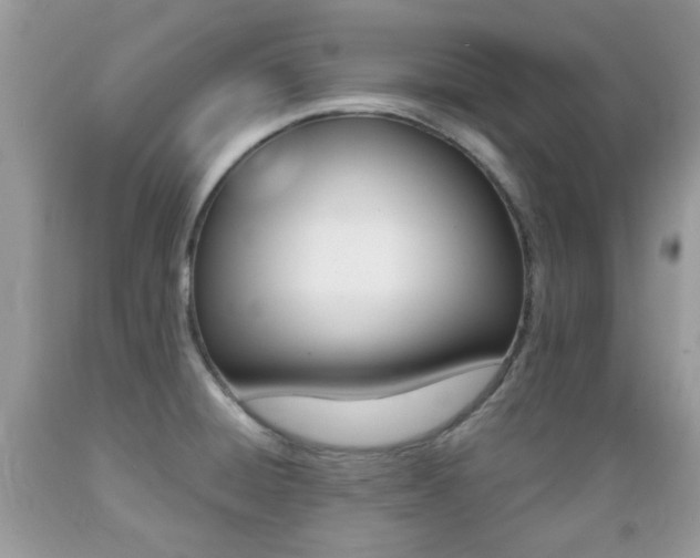 X0000089661428200706210721