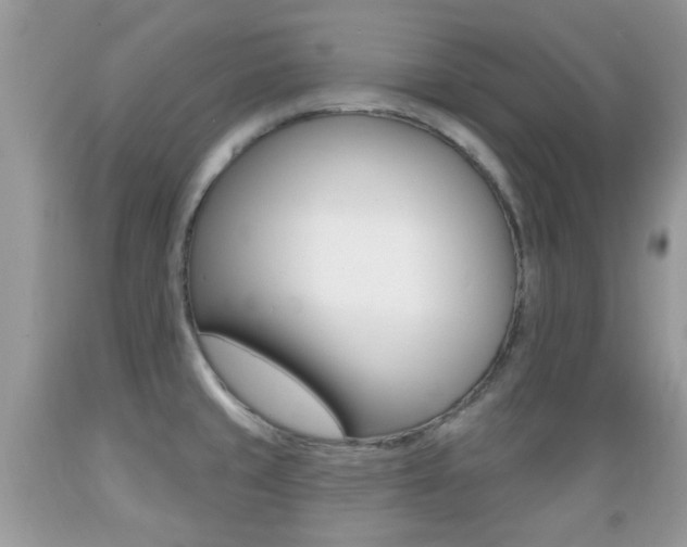 X0000089661429200706210721
