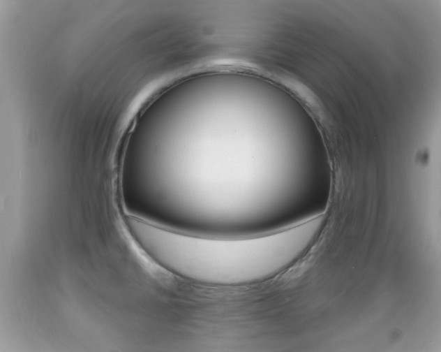 X0000089661430200706210721