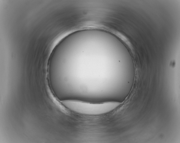 X0000089661431200706210721