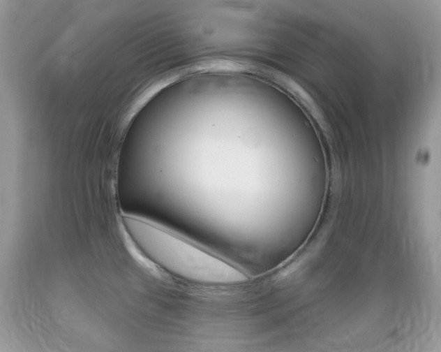 X0000089661433200706210721