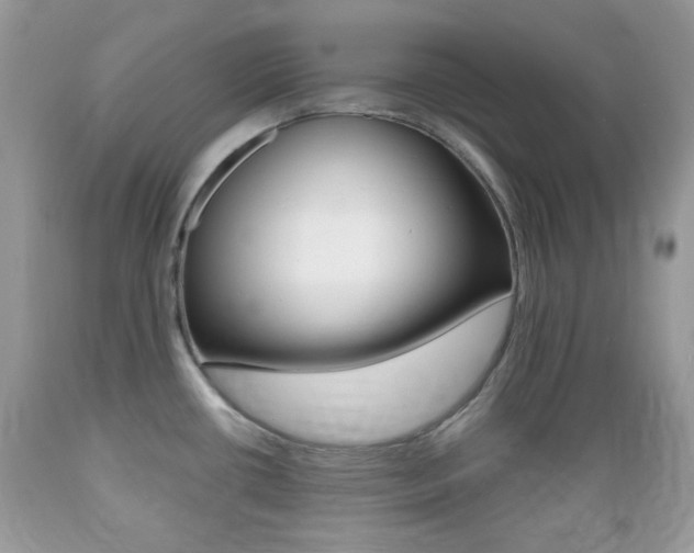 X0000089661434200706210721