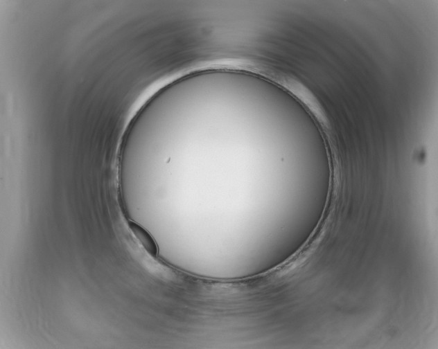 X0000089661436200706210721