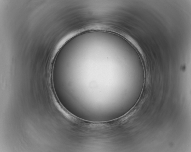 X0000089661437200706210721