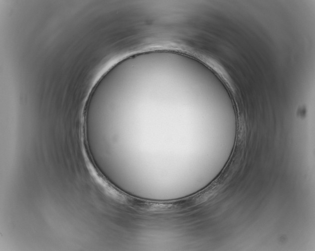 X0000089661439200706210721