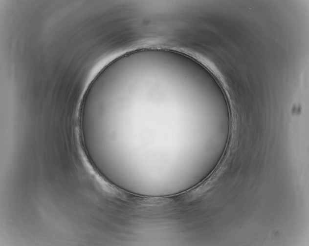 X0000089661440200706210721