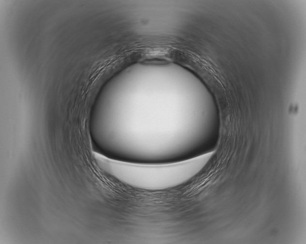 X0000089661441200706210720