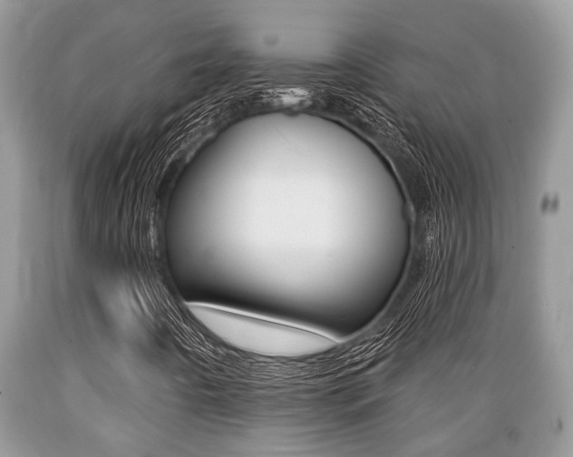 X0000089661442200706210720