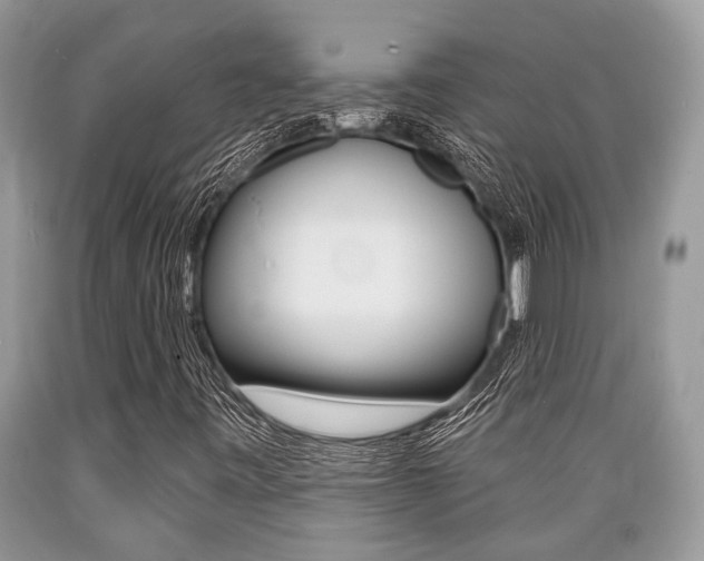 X0000089661443200706210720
