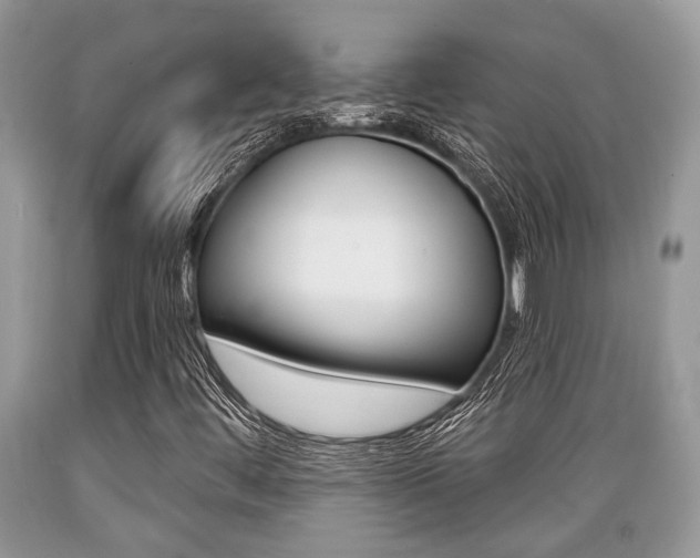 X0000089661444200706210720