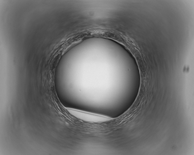 X0000089661445200706210720