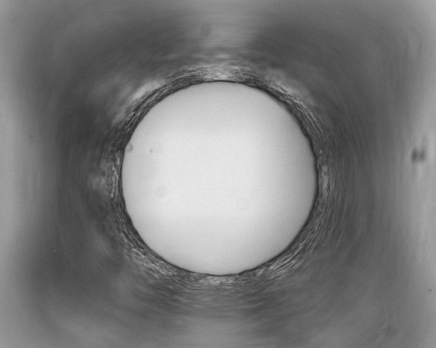 X0000089661446200706210720
