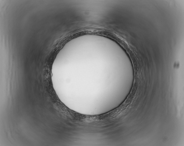 X0000089661447200706210720