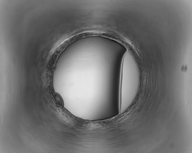 X0000089661448200706210720