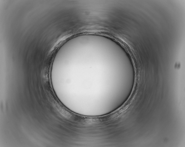 X0000089661451200706210720