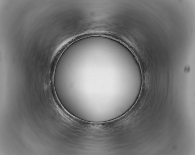 X0000089661452200706210720