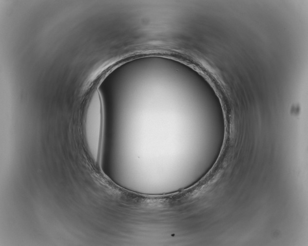 X0000089661453200706210720